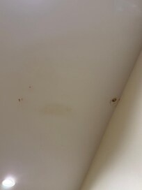 Strange stuff on the ceiling.