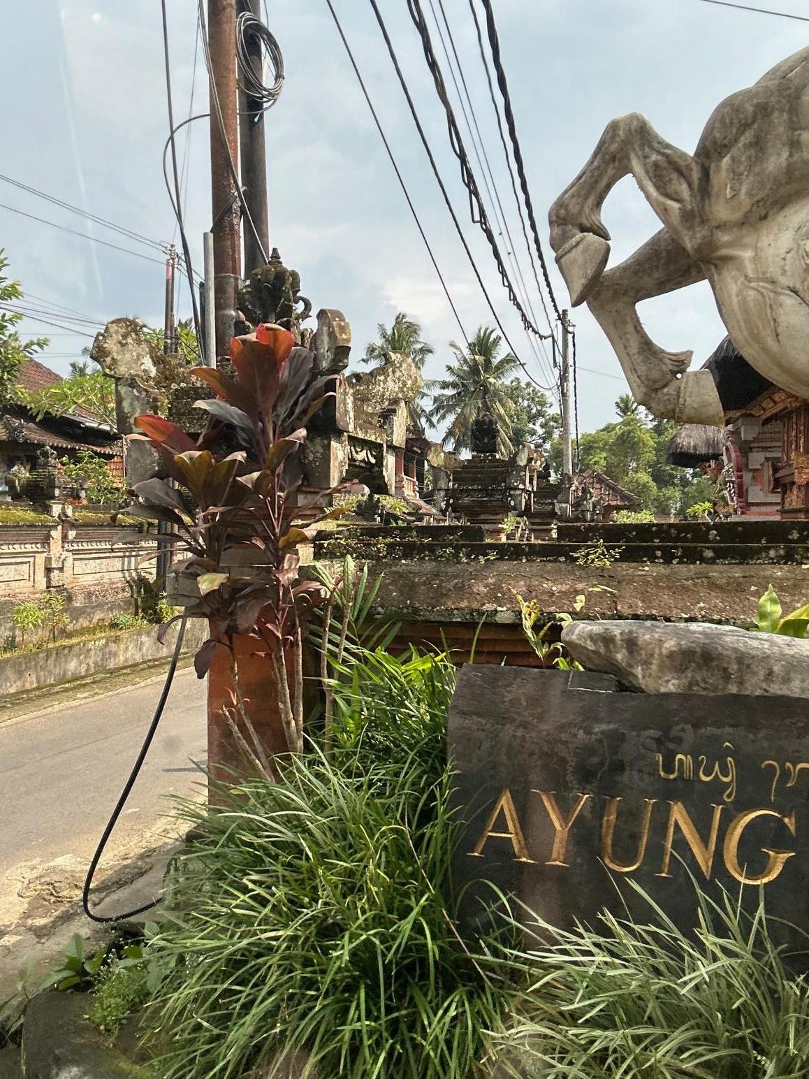 Turning on to the road to go down to the resort/