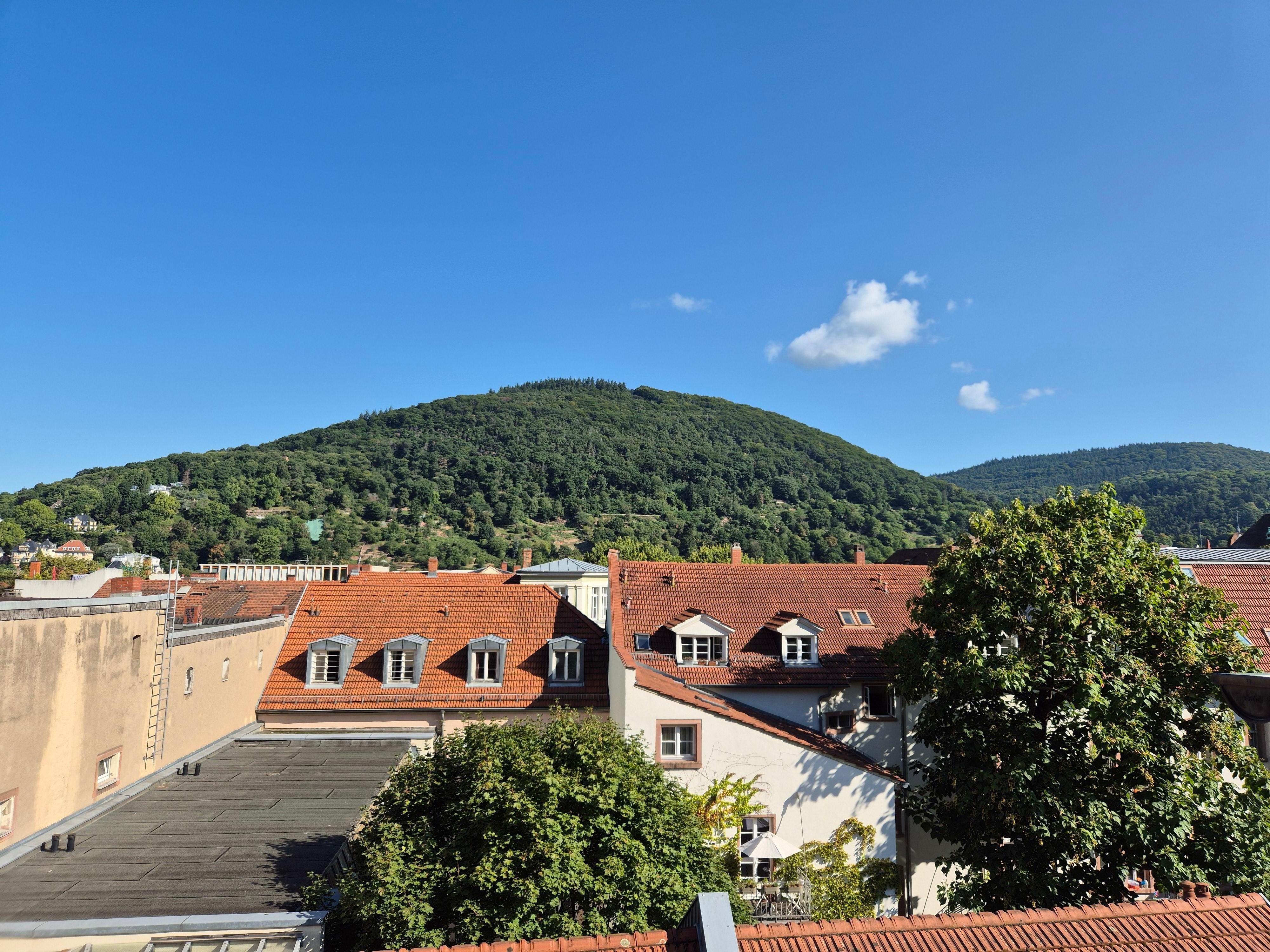 View from bedroom 24