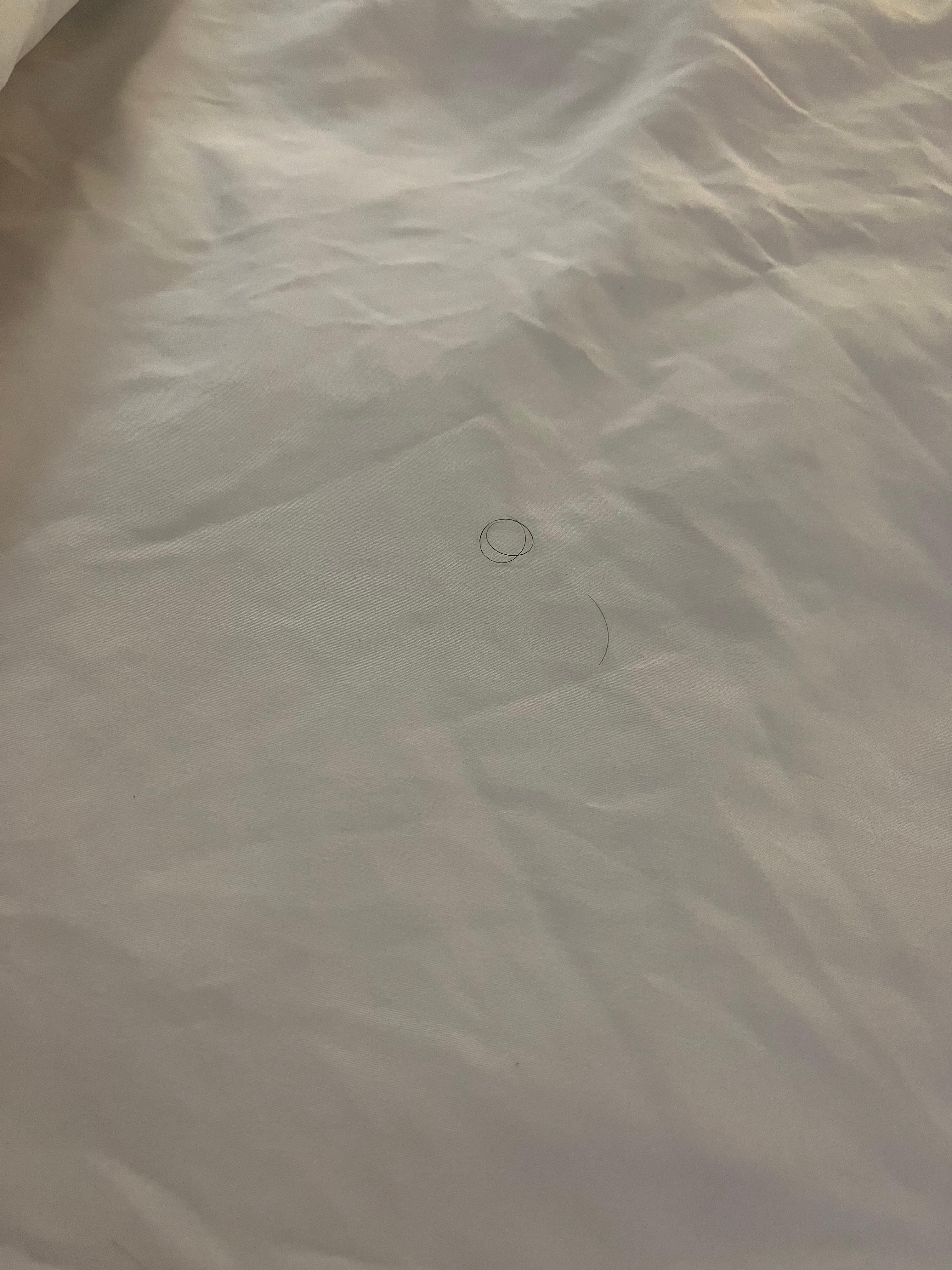 Pubic hair on dirty sheets 