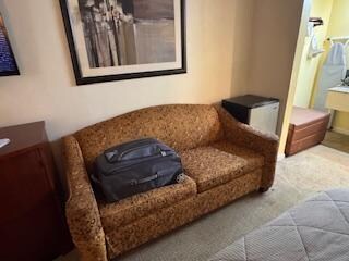 Filthy sofa