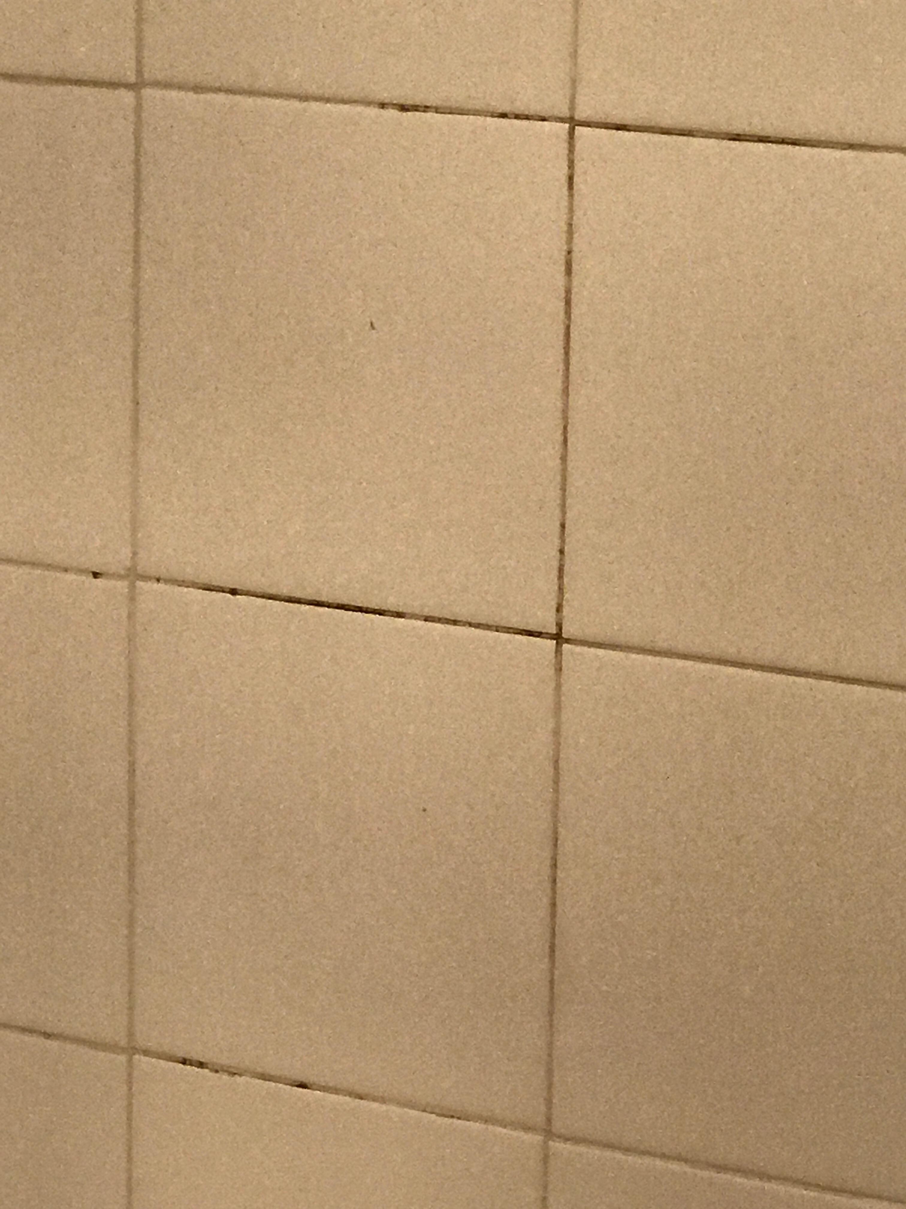 Dirt and Mold in the shower