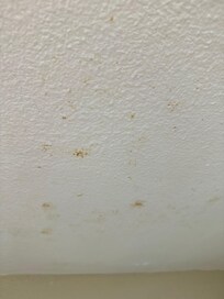 Dirty ceiling
