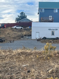 Lots of deer roaming the neighborhood