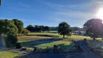 The morning view