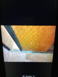 Shower door