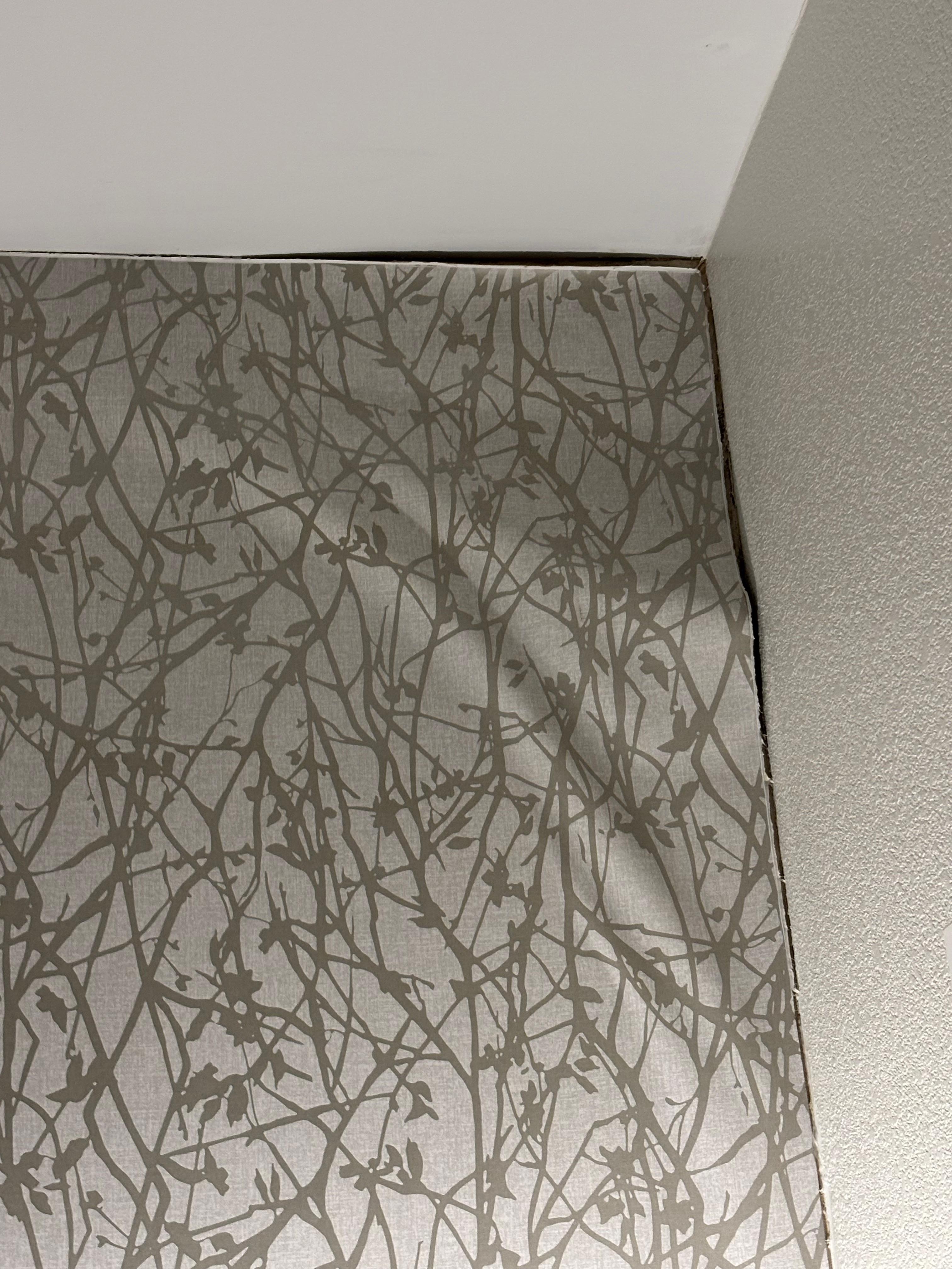 Had a Couple places where wallpaper just waiting to fully come off wall