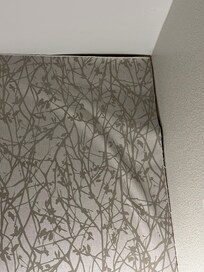 Had a Couple places where wallpaper just waiting to fully come off wall