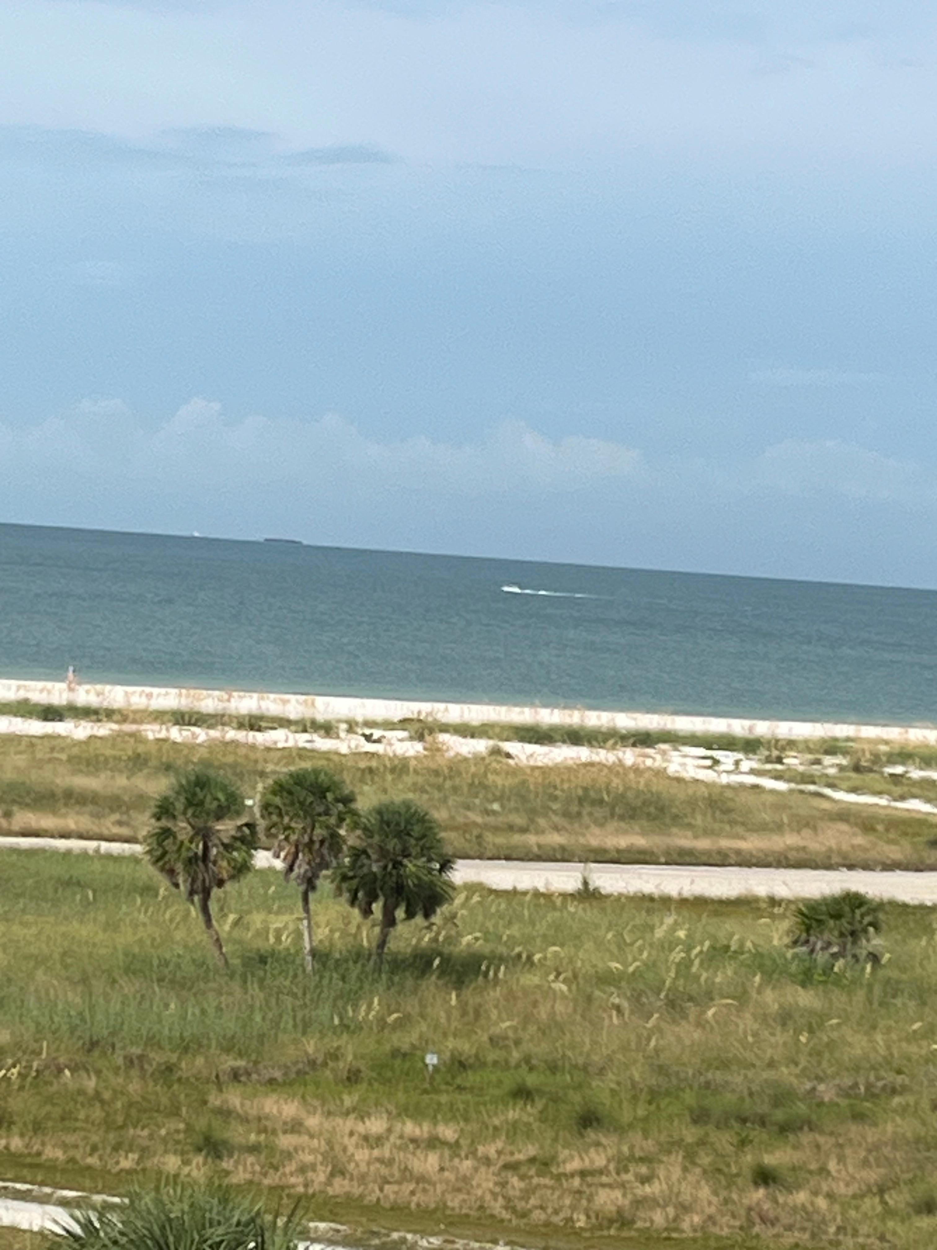 The view from the pool 