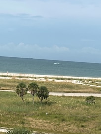 The view from the pool