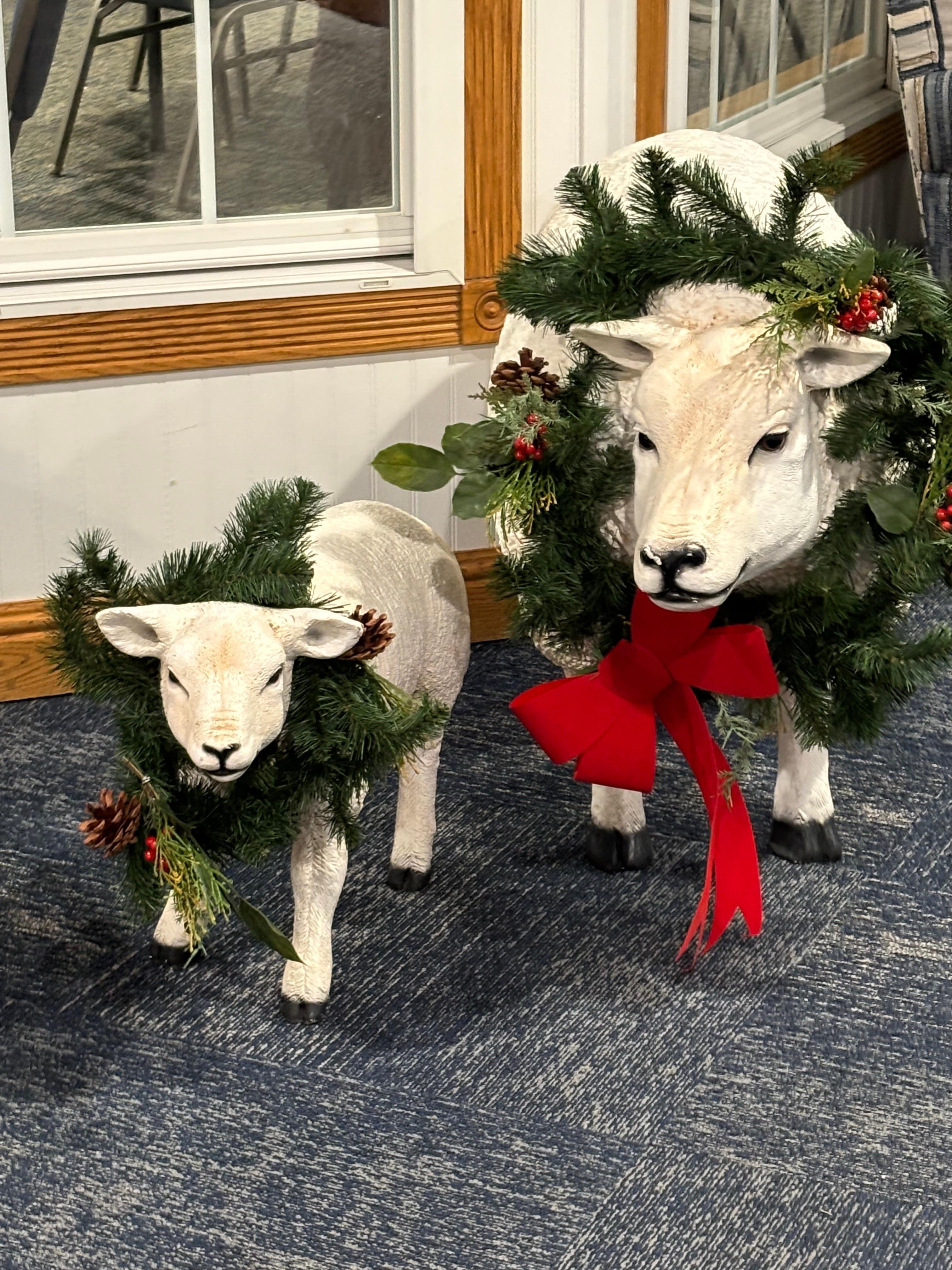 All decorated for Christmas!!