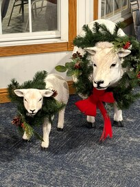 All decorated for Christmas!!