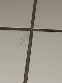 Stains on bathroom floor
