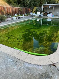Swimming pool in terrible shape