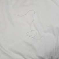 Hair on bed not clean