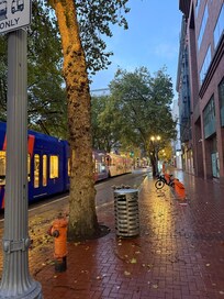 A block over, nice fall foliage..