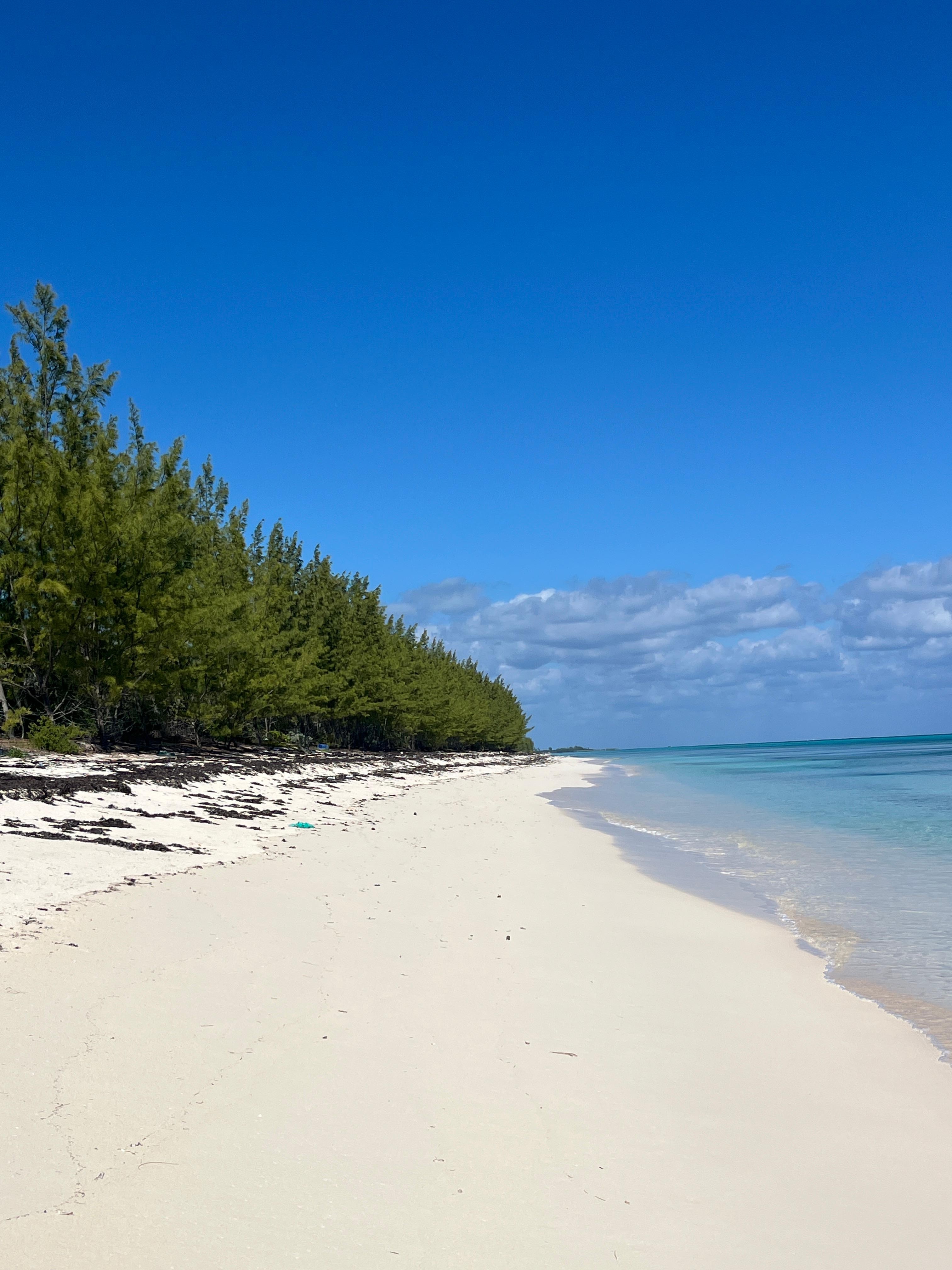 Gorgeous beaches everywhere 