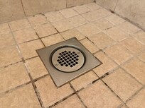 Shower’s Black Mold