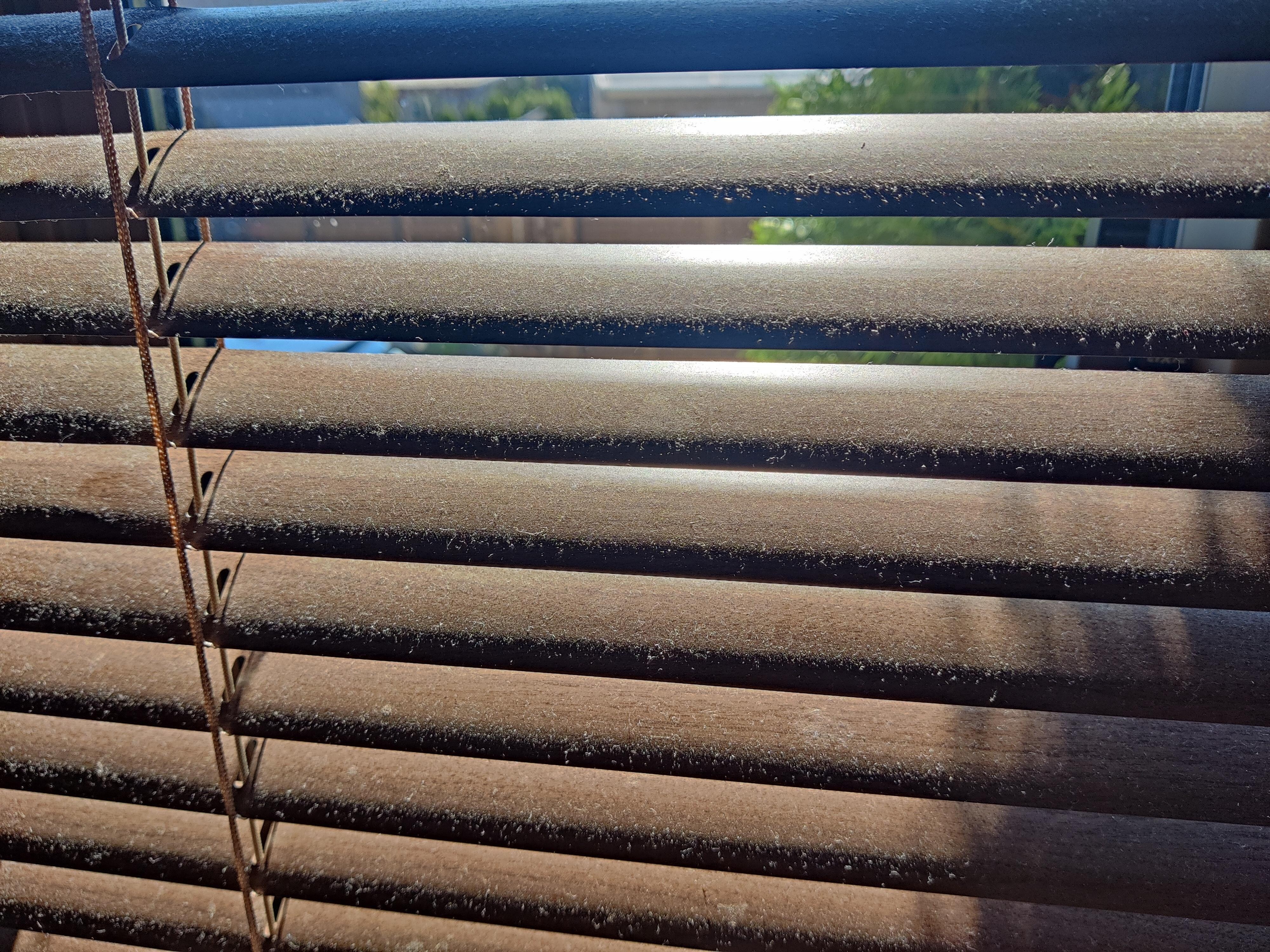 Dusty blinds 