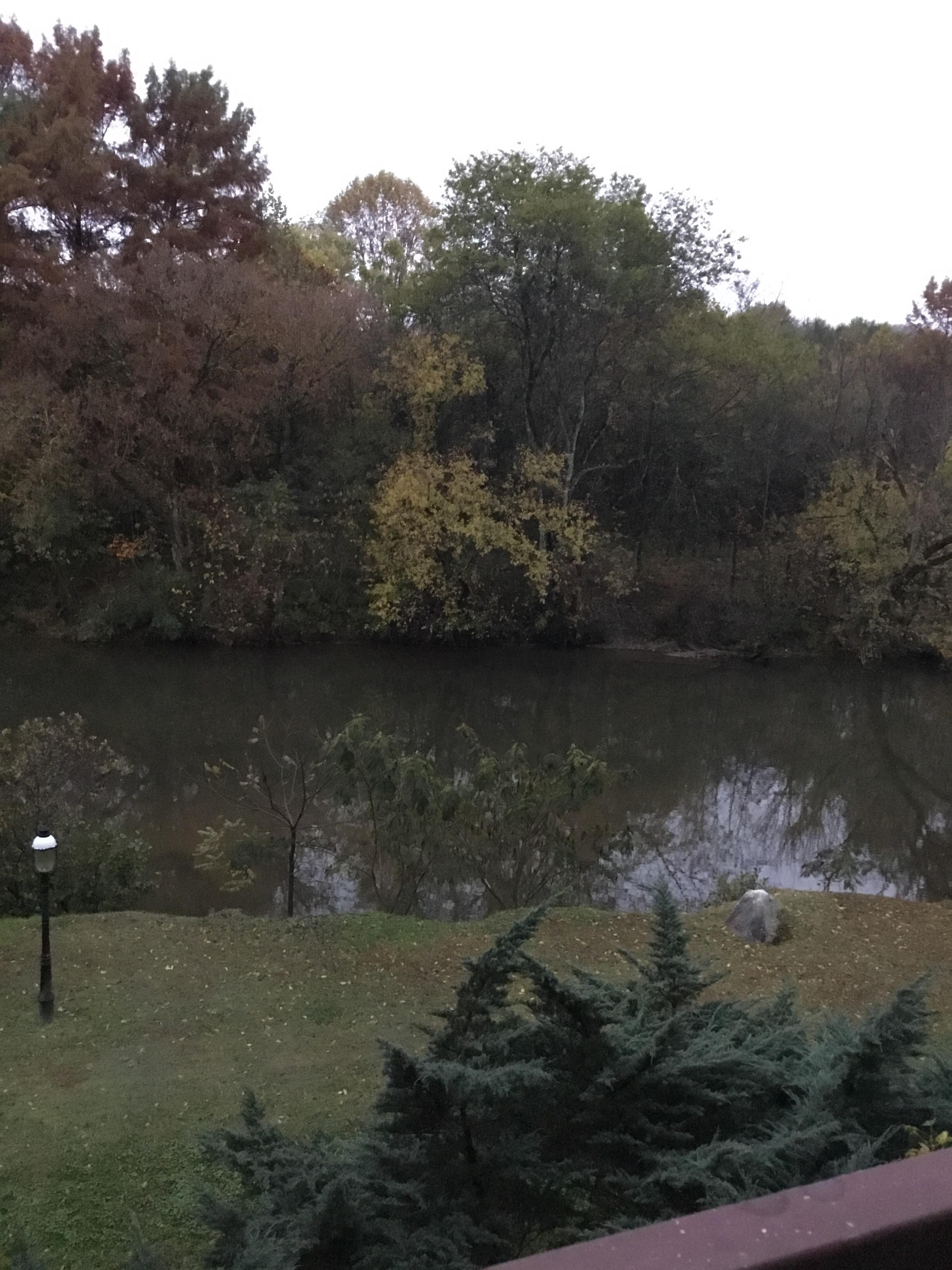 The view with my morning coffee ❤️