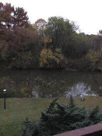 The view with my morning coffee ❤️