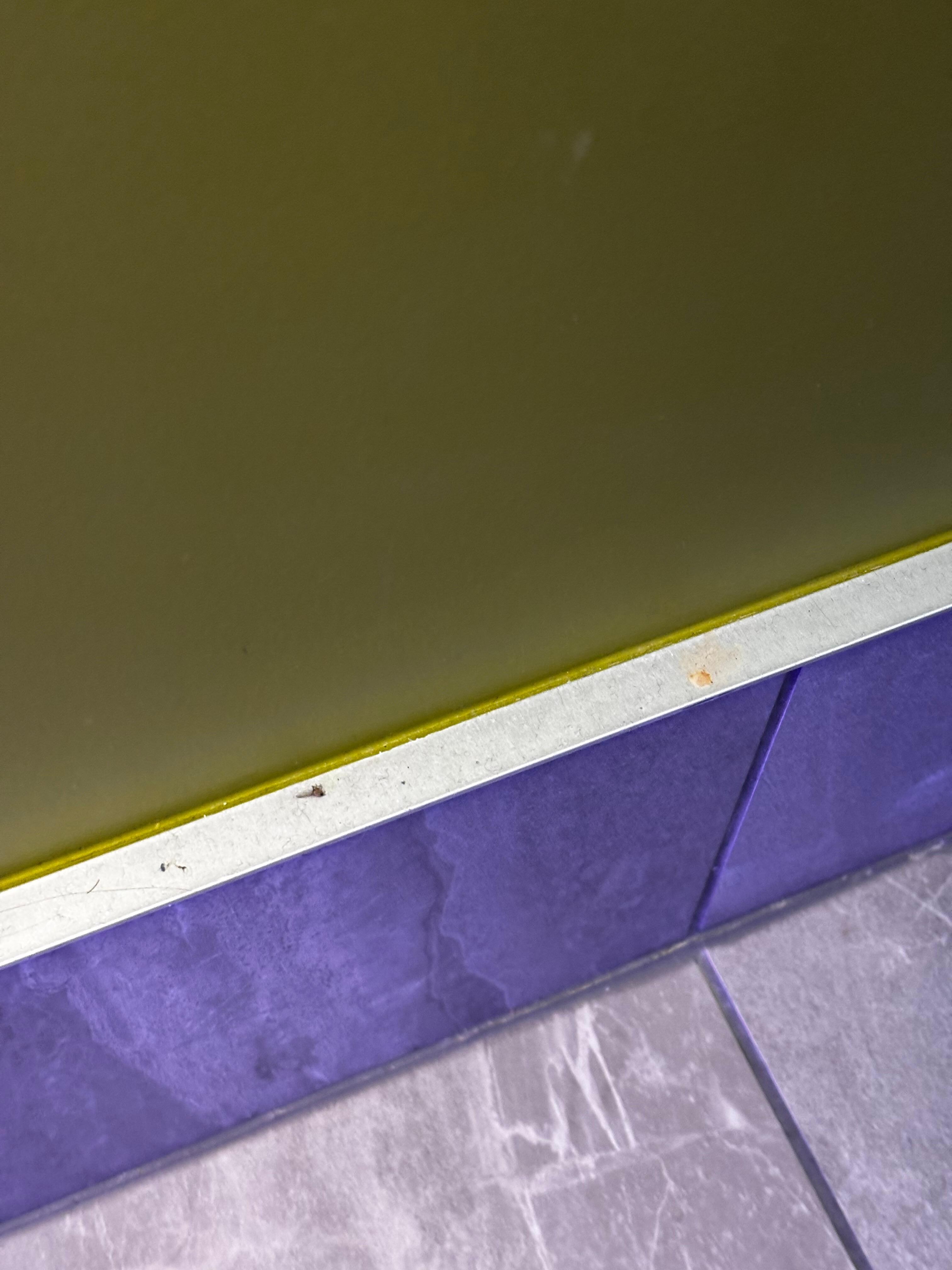 Grubby skirting boards were common throughout room. Kitchenette handles were also filthy.