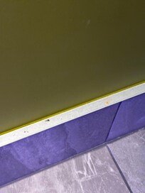 Grubby skirting boards were common throughout room. Kitchenette handles were also filthy.