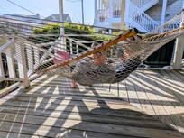 Loved the corner hammock on the deck!
