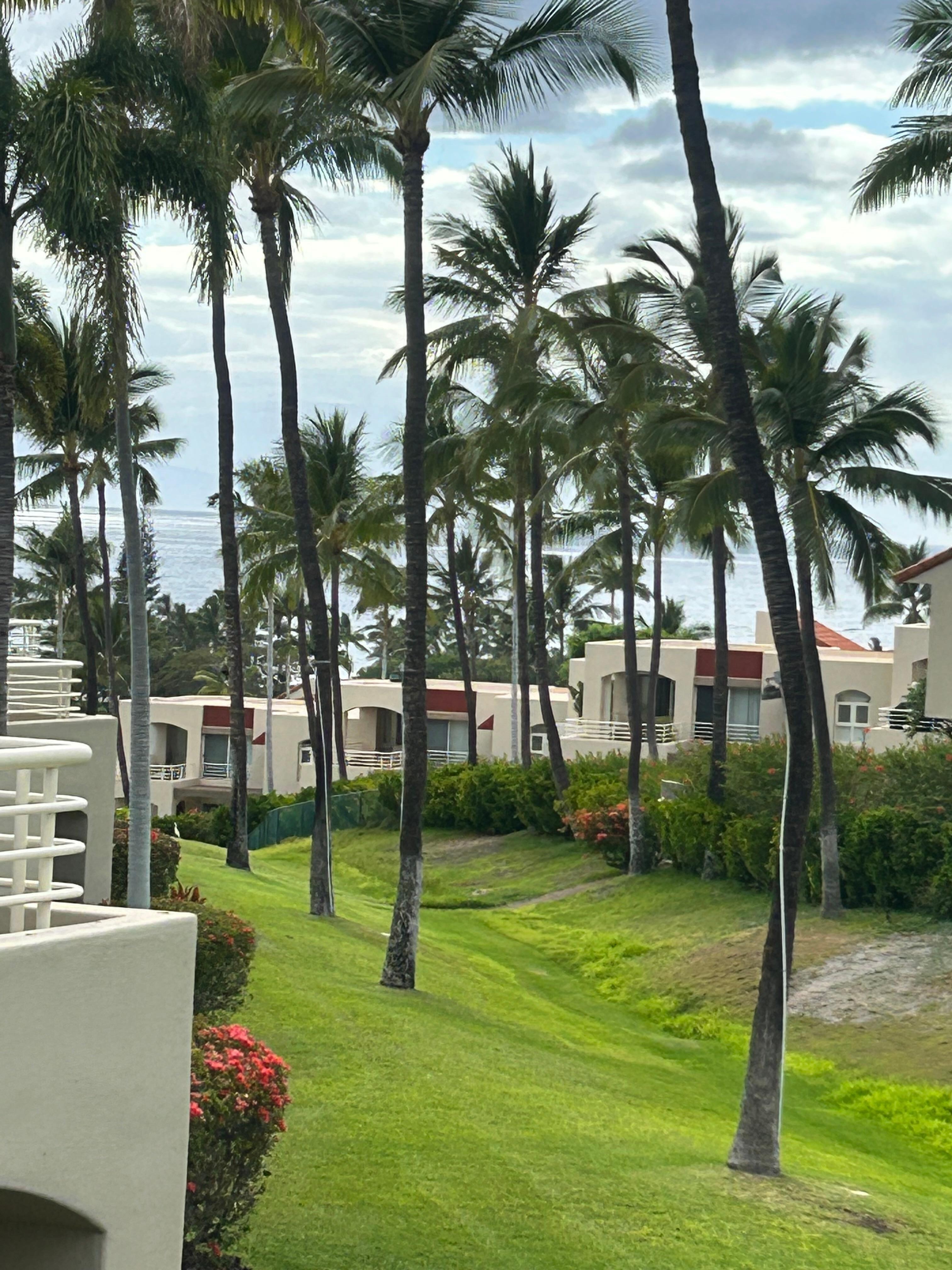 View from the lanai.
