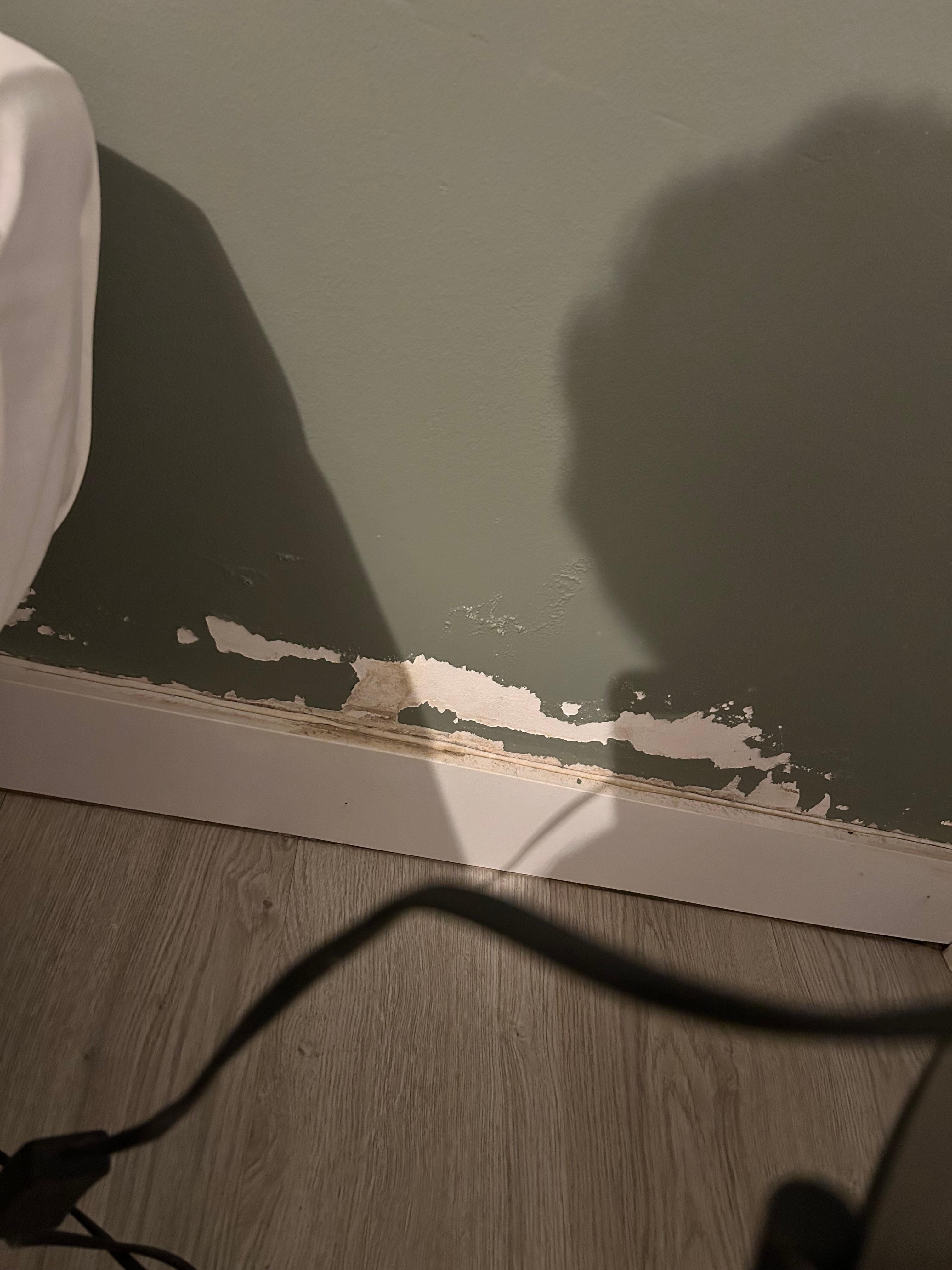 Chipping and peeling paint