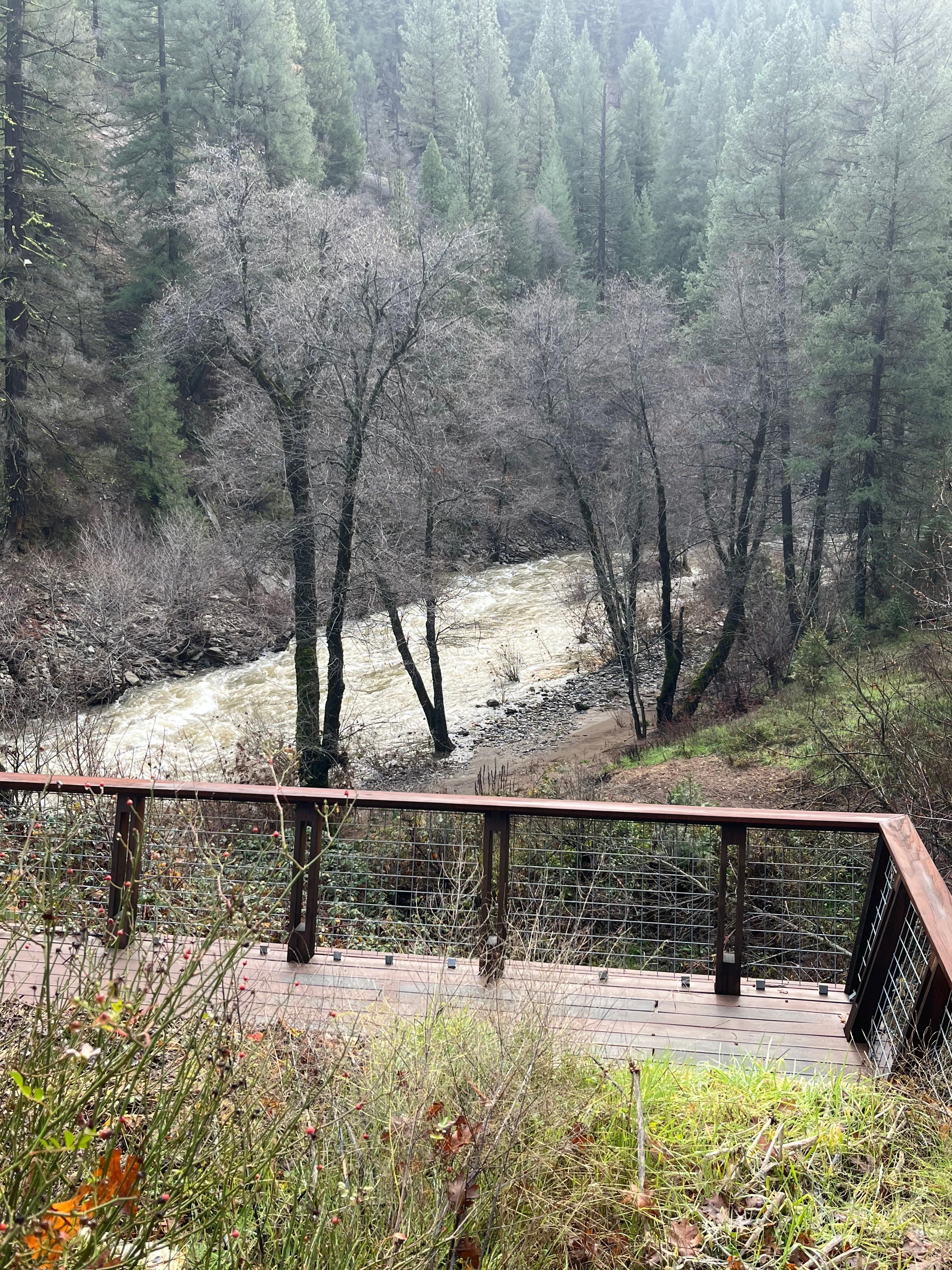 Wild river in winter 