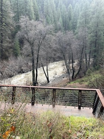 Wild river in winter