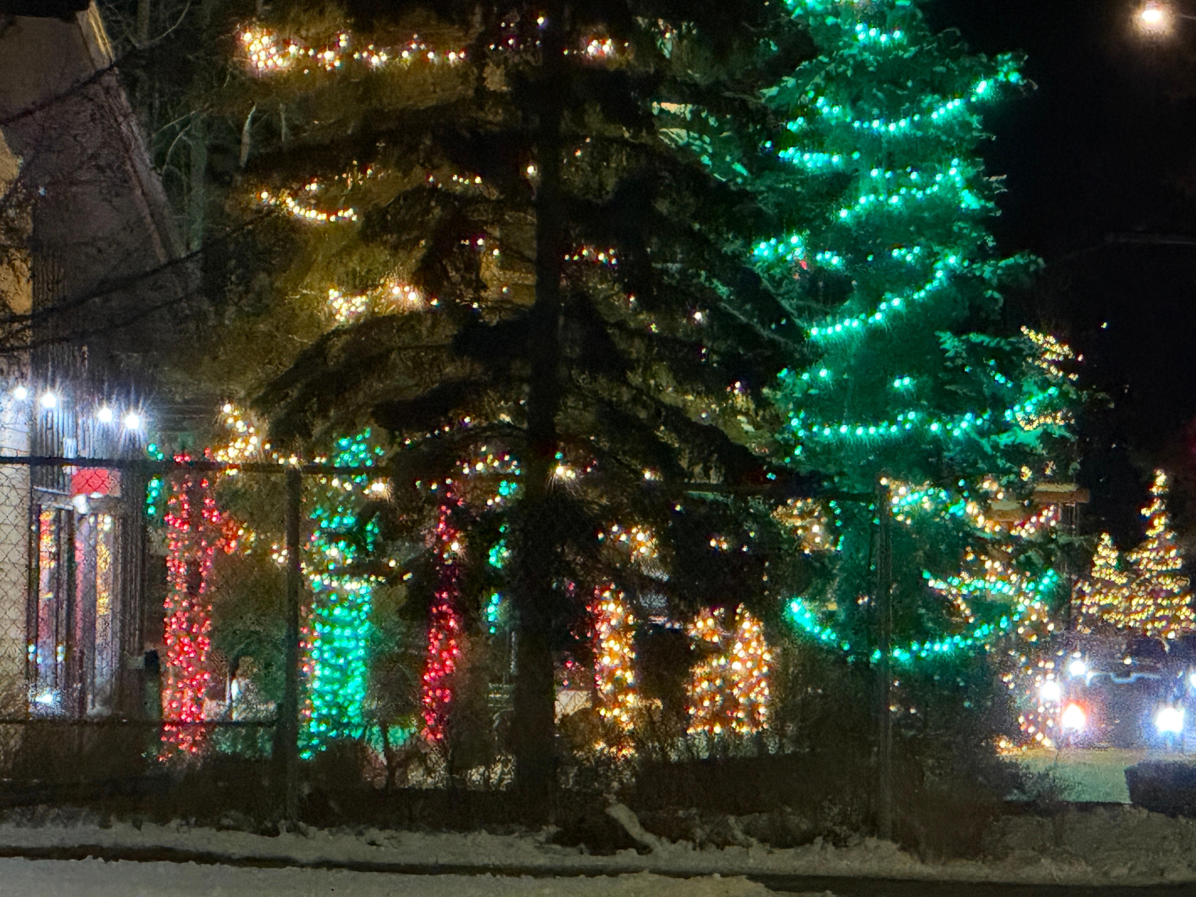 Canmore at Christmas 