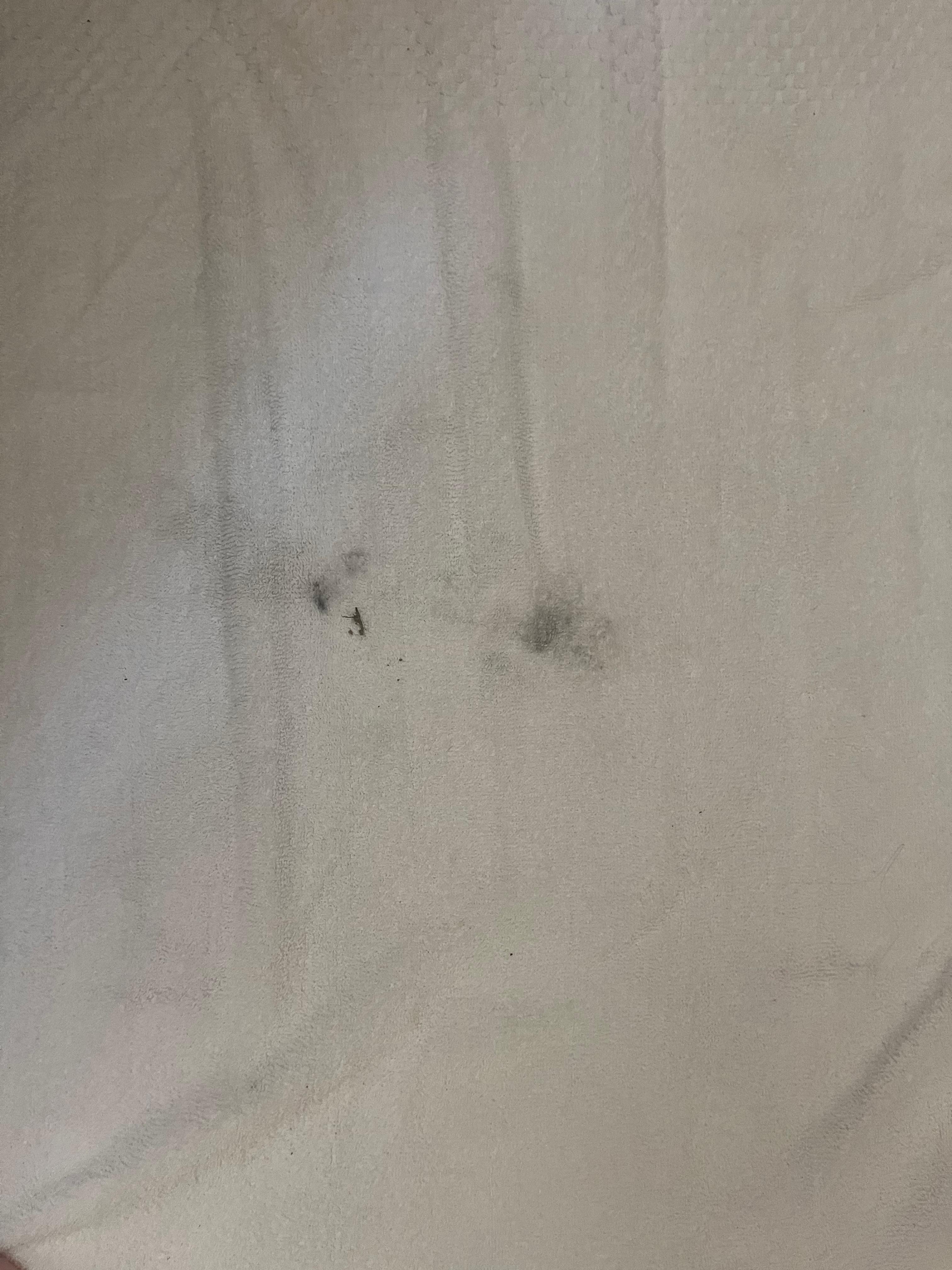 Supposed to be clean towels.