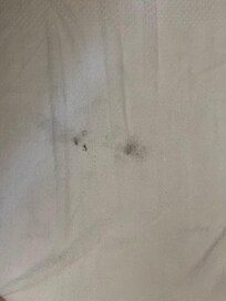 Supposed to be clean towels.