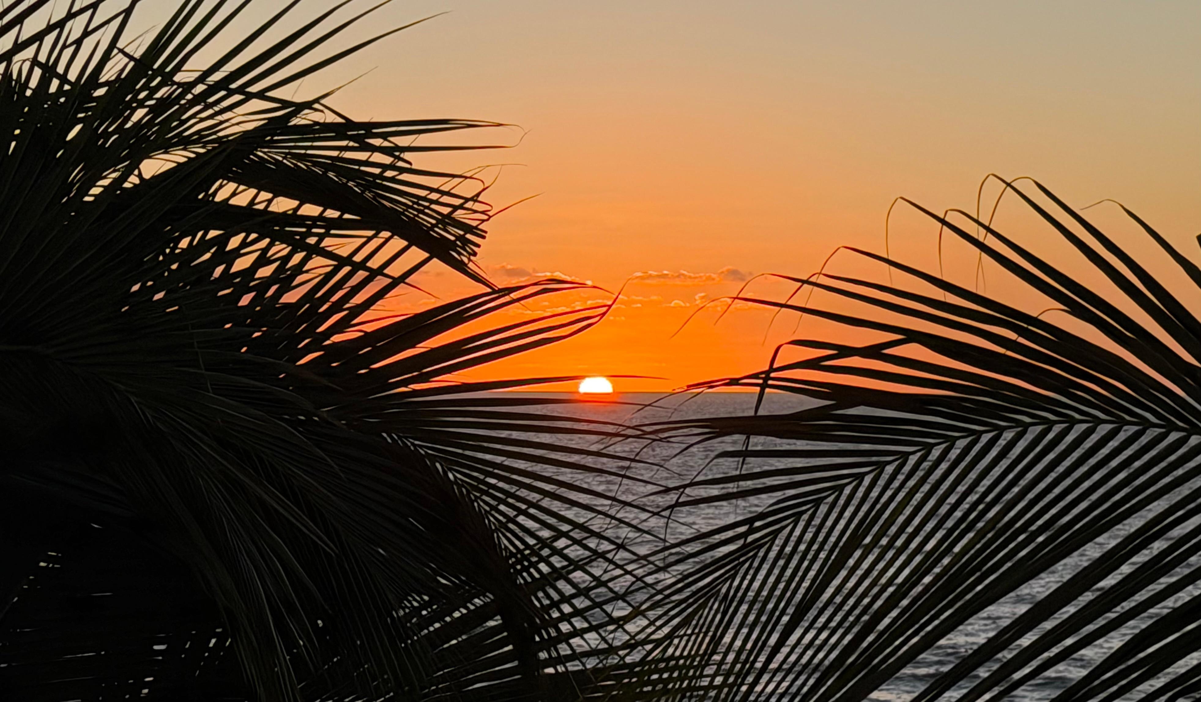 Sunset view from the terrace