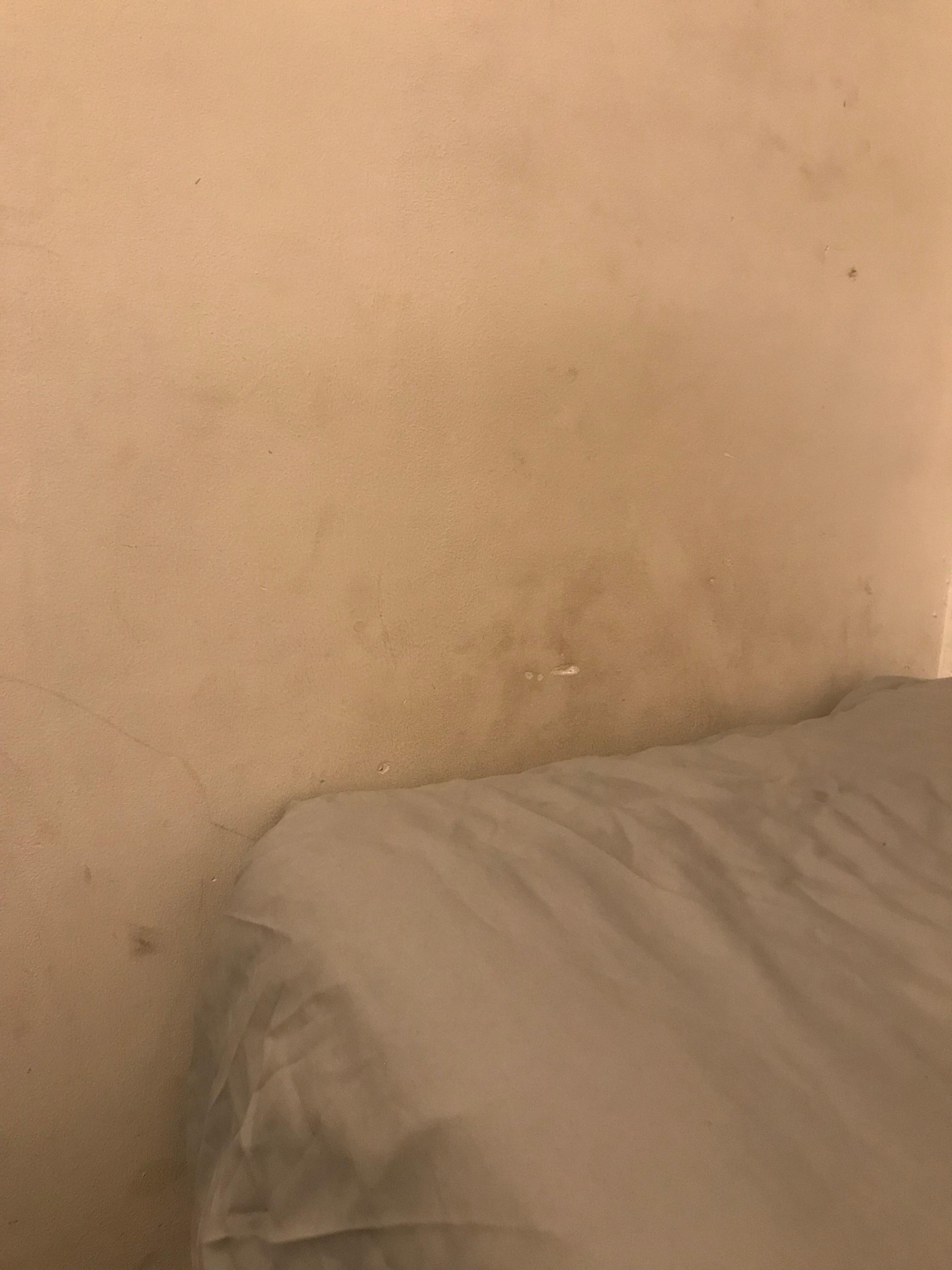 Grunge on wall at end of bed.