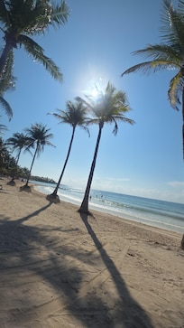 Morning at the beach