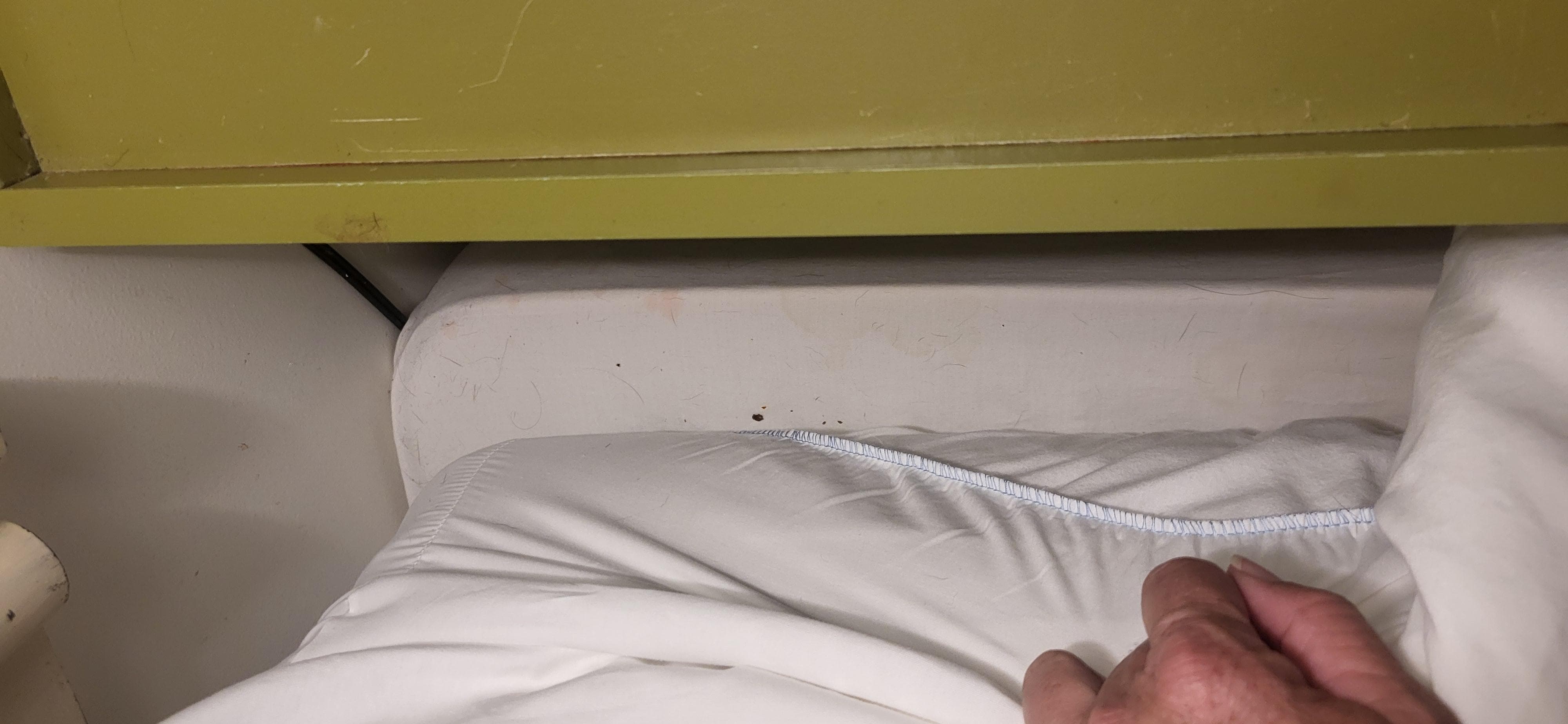 Right side of the bed - dog hair and blood spots