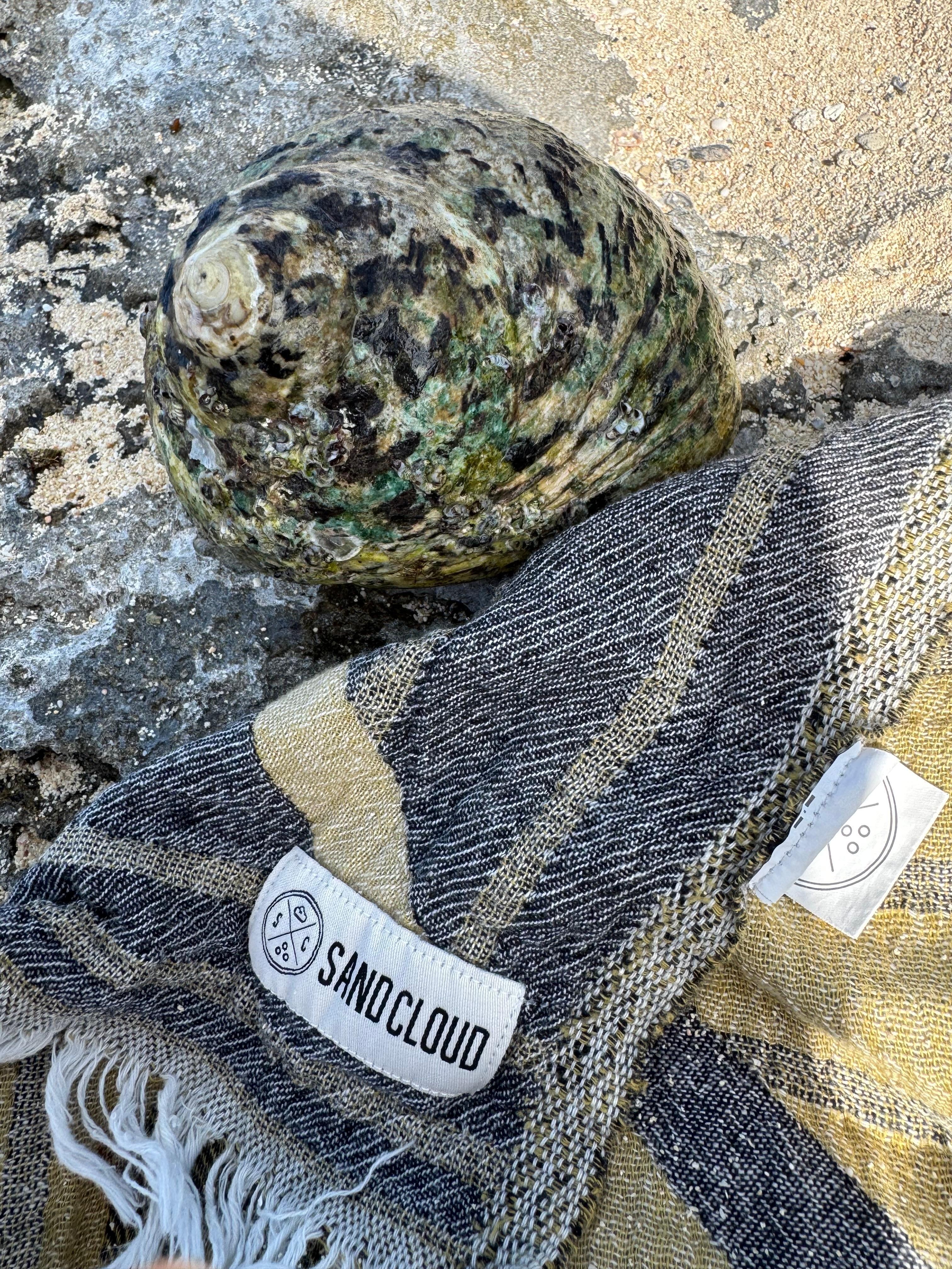 Snorkel find