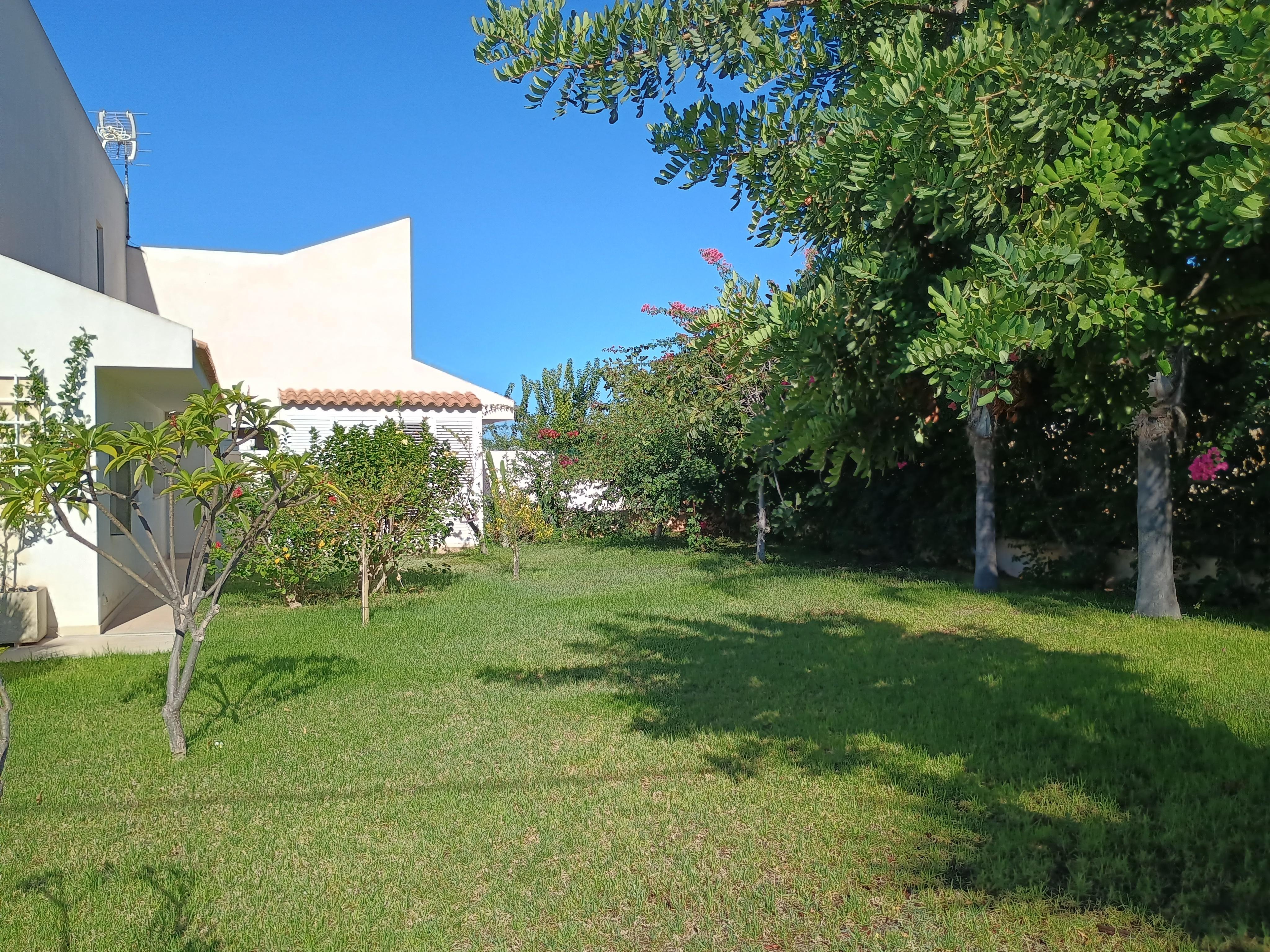 Gorgeous mature garden