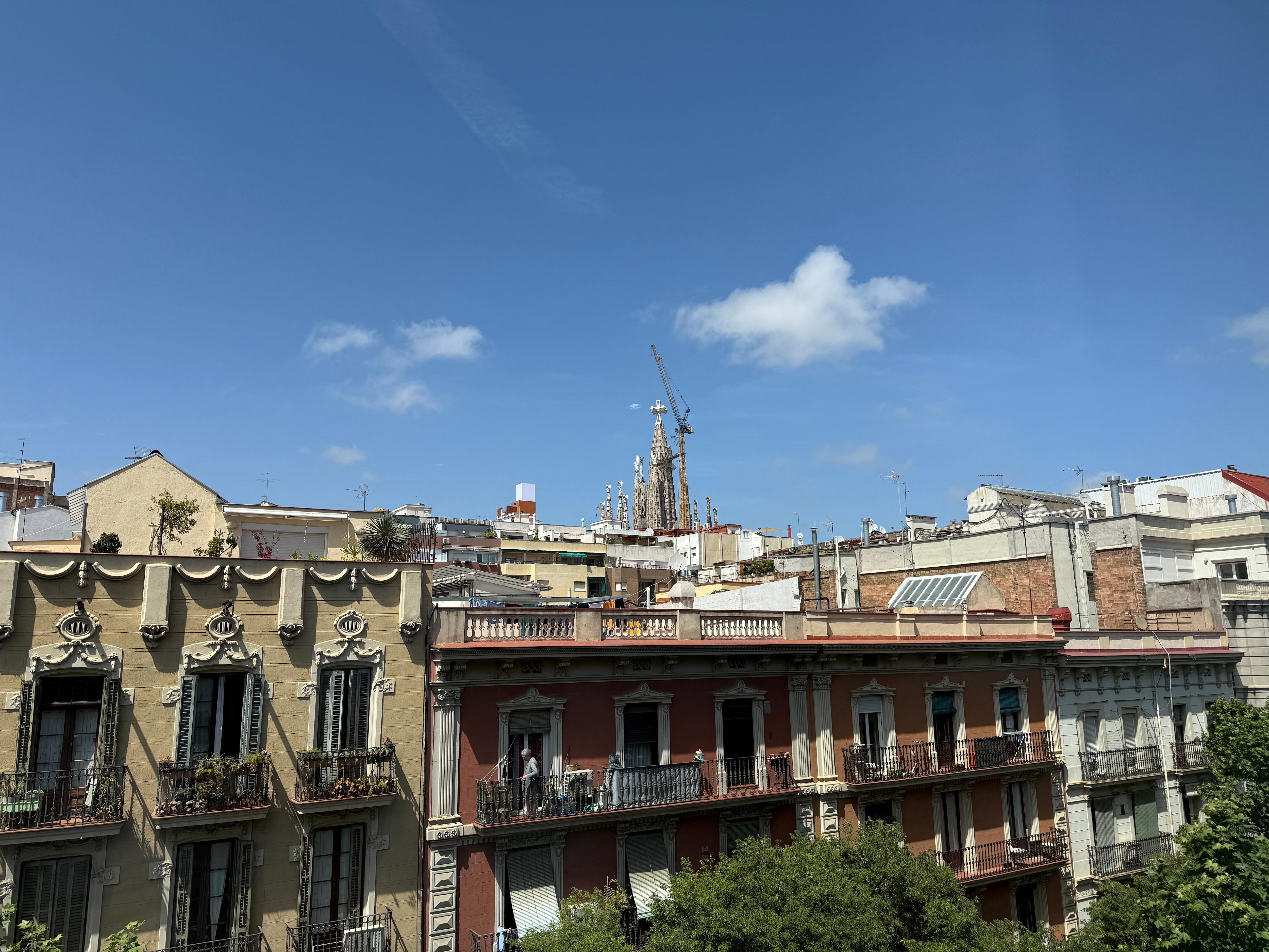 View from the room