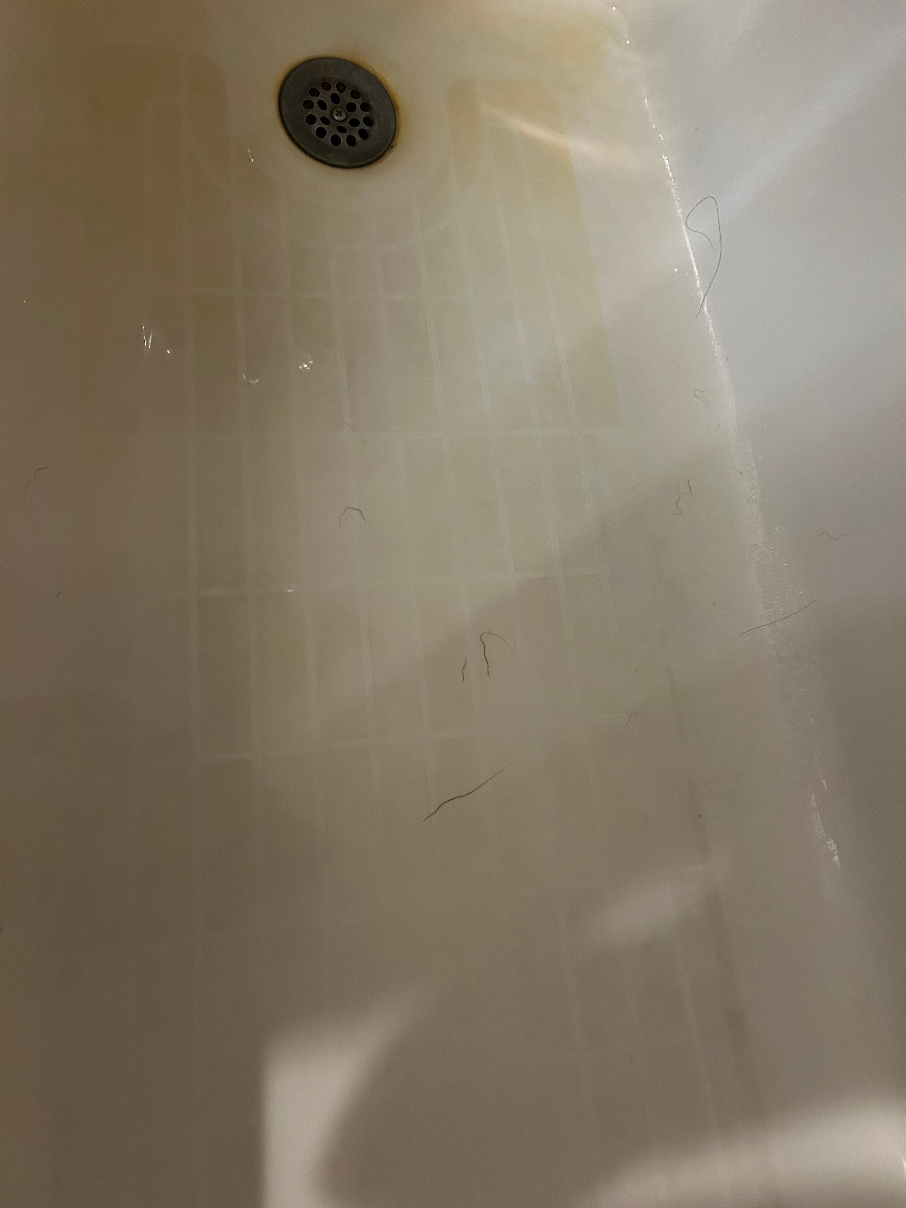 Hair in shower/bathtub