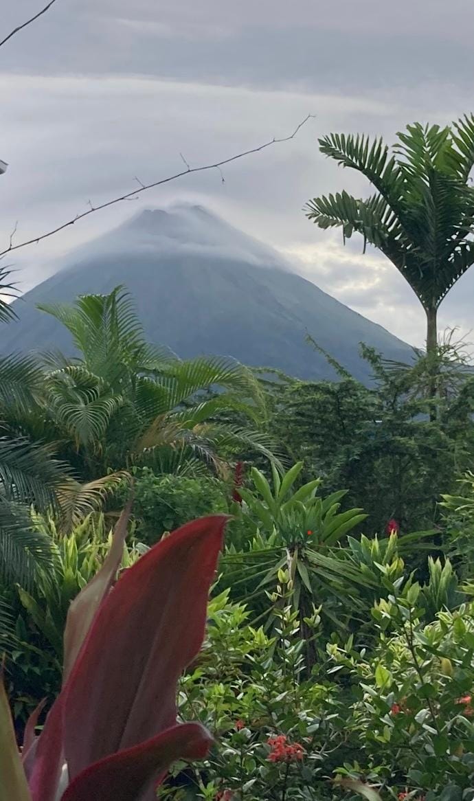 View of Arsenal Volcano from Hotel Secreto. 