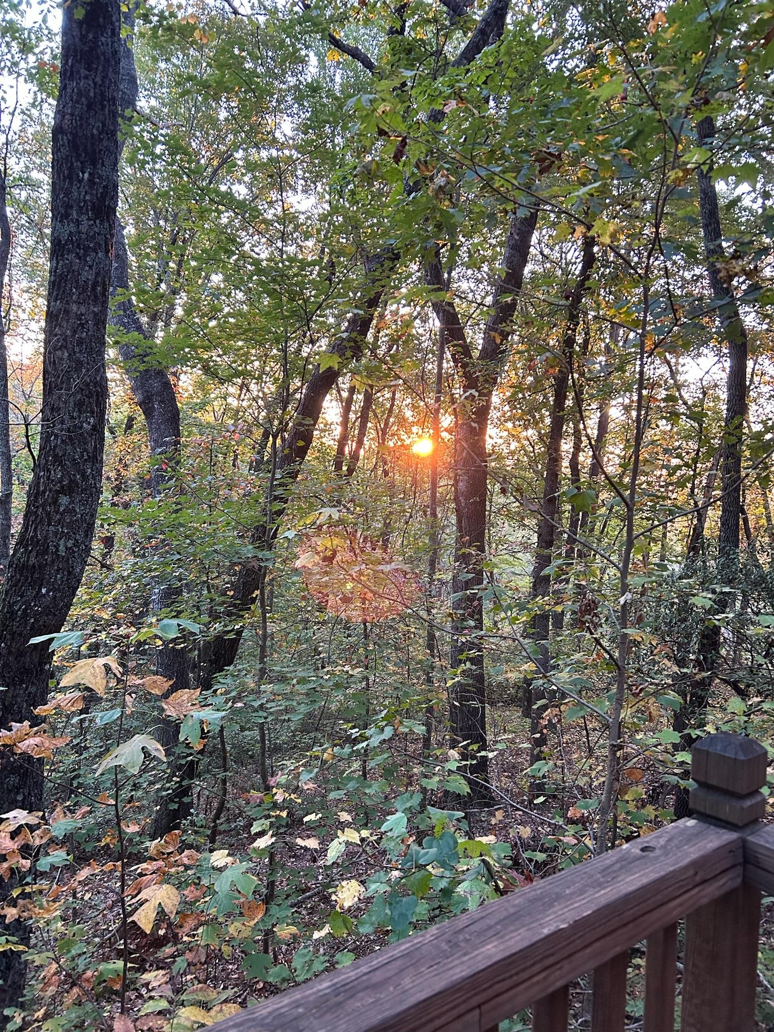 Sunrise on back deck.