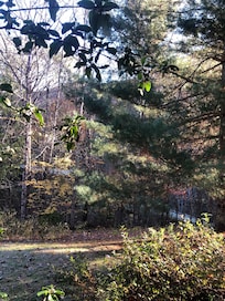 Just out in nature and the fall colors