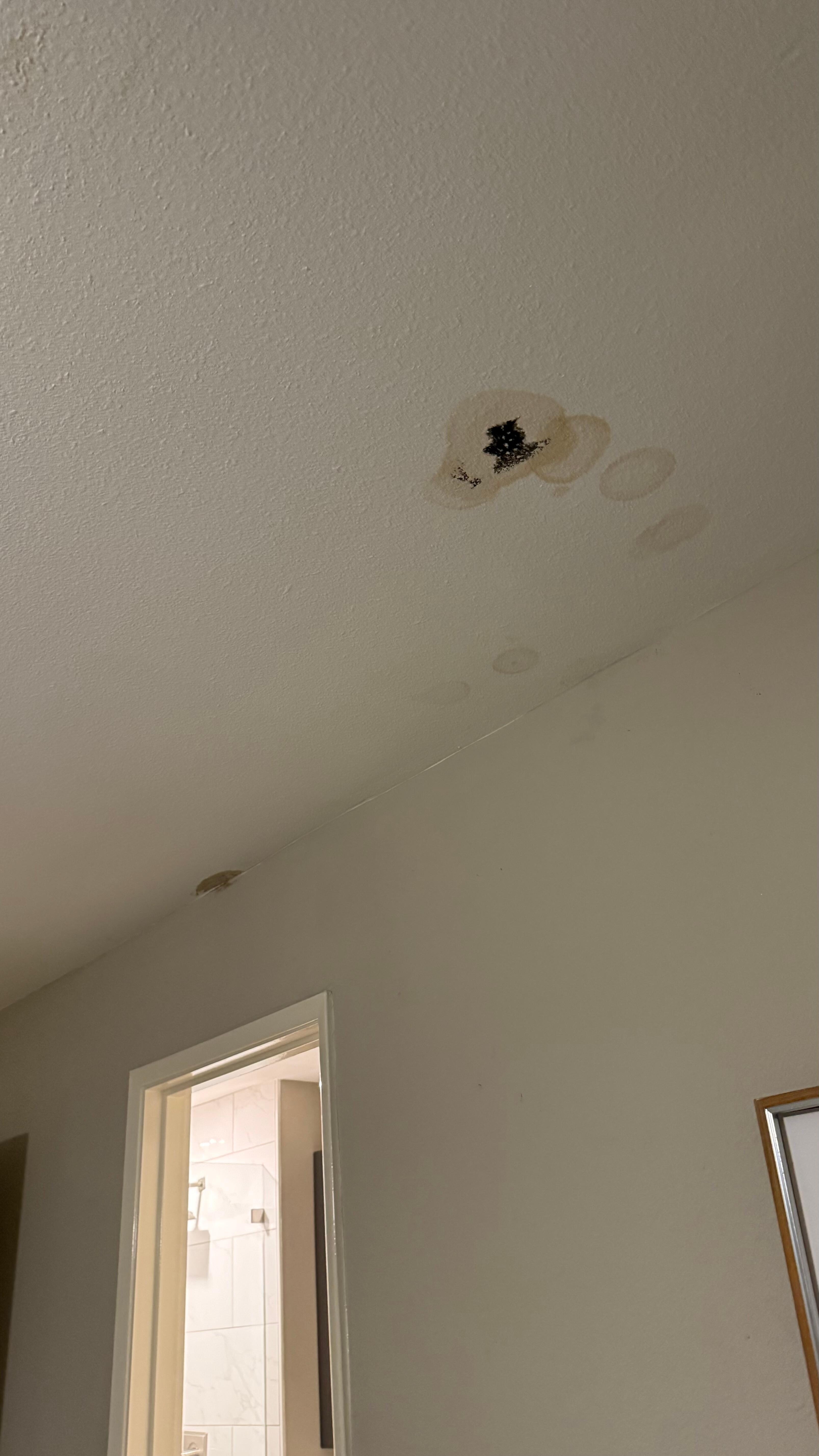 Black mold in master the closet, and bedroom had the nasty musty smell 