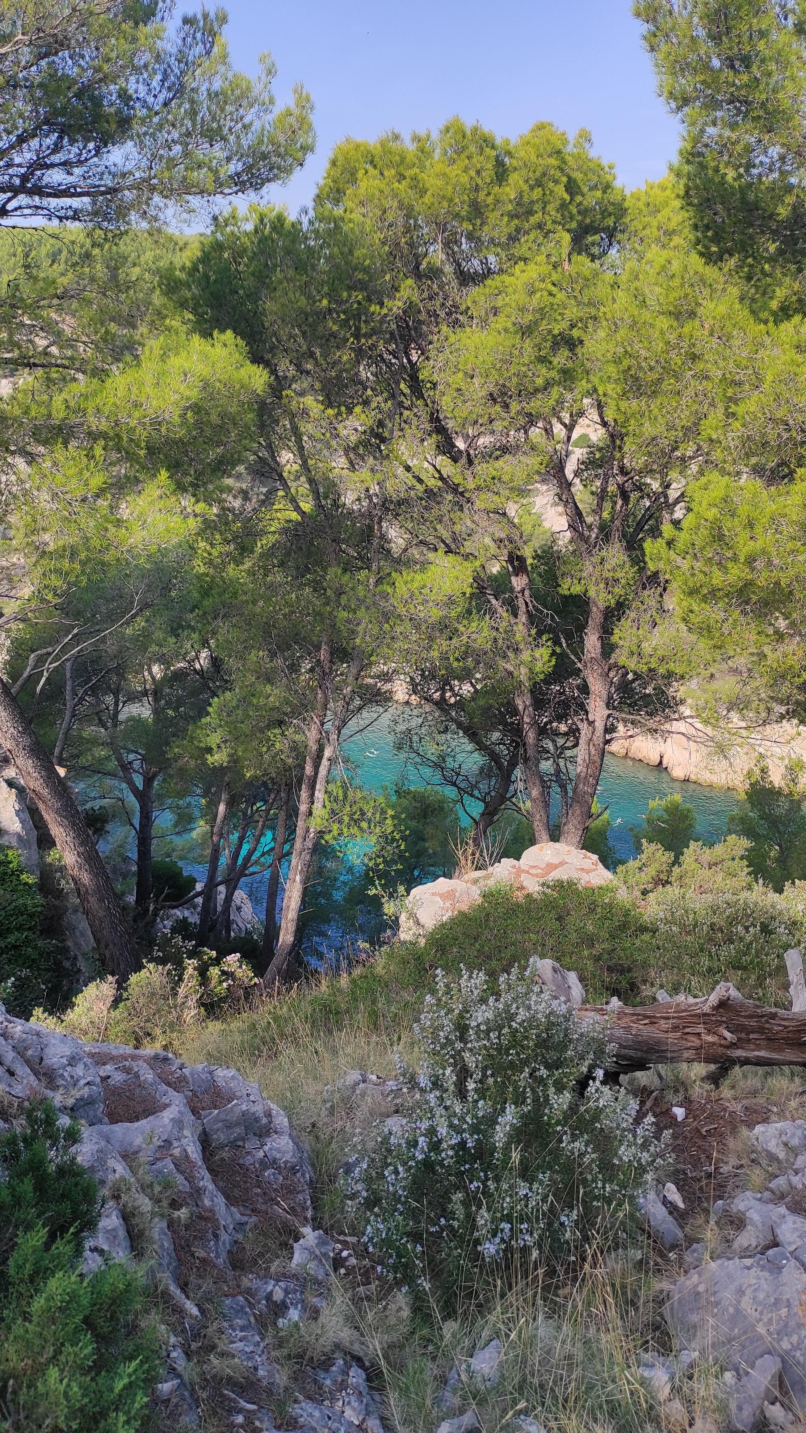 Randonnée dans les calanques de Cassis 