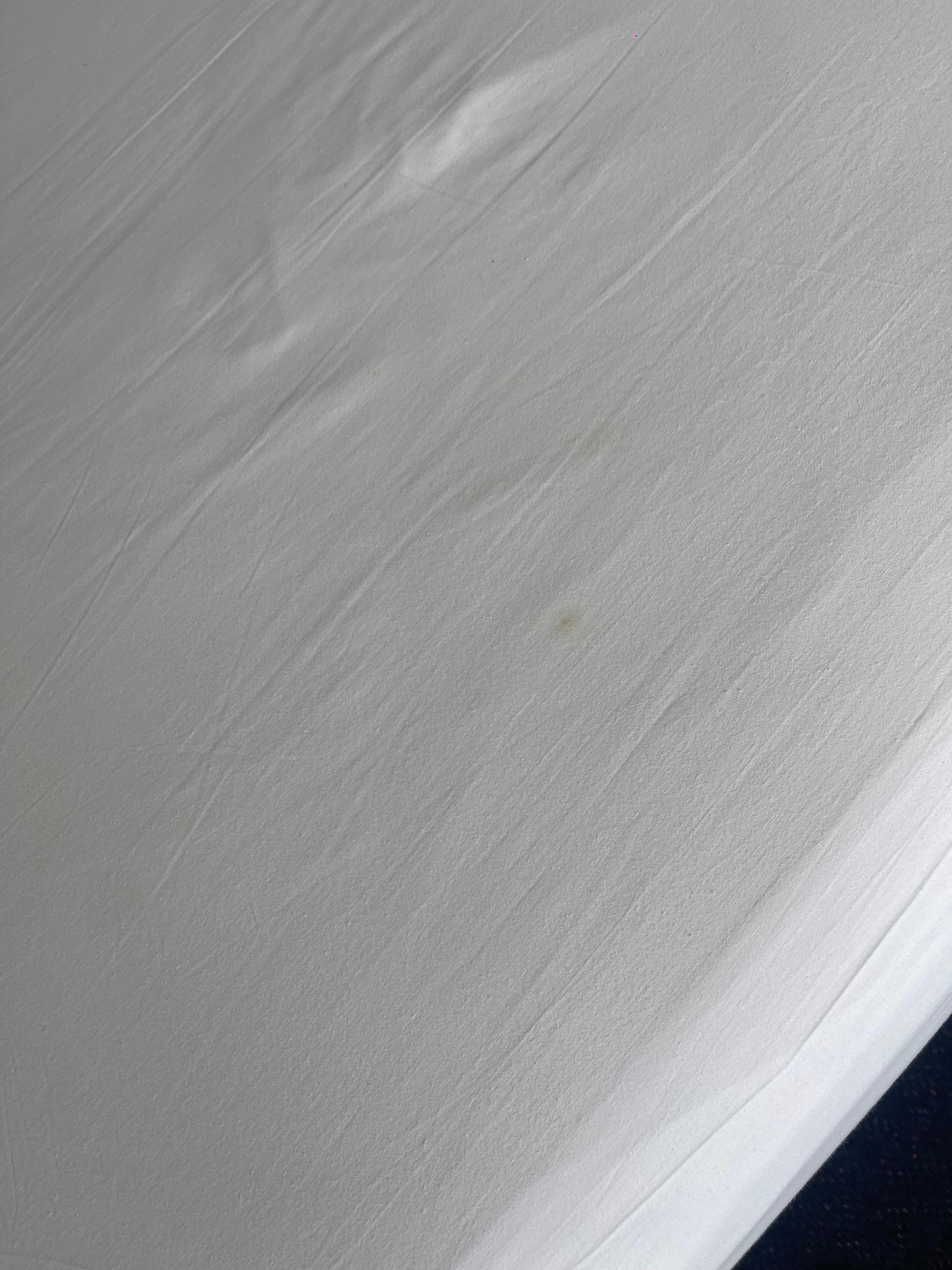 Stain and another hair. 