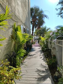 Leading to the front office from the back side.